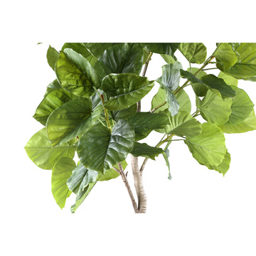 Baumgrün - Ficusbaum, Kunststoff, Handgefertigt, L | PTMD