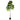 Baumgrün - Ficusbaum, Kunststoff, Handgefertigt, L | PTMD