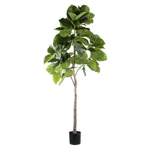 Tree green - Ficus Tree, Plastic, Handmade, L | PTMD