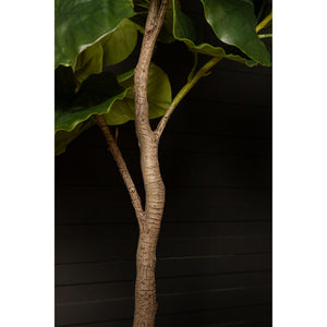 Tree green with ficus tree, potted and plastic, M | PTMD