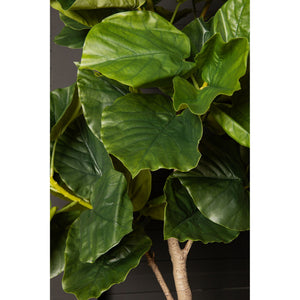 Tree green with ficus tree, potted and plastic, M | PTMD