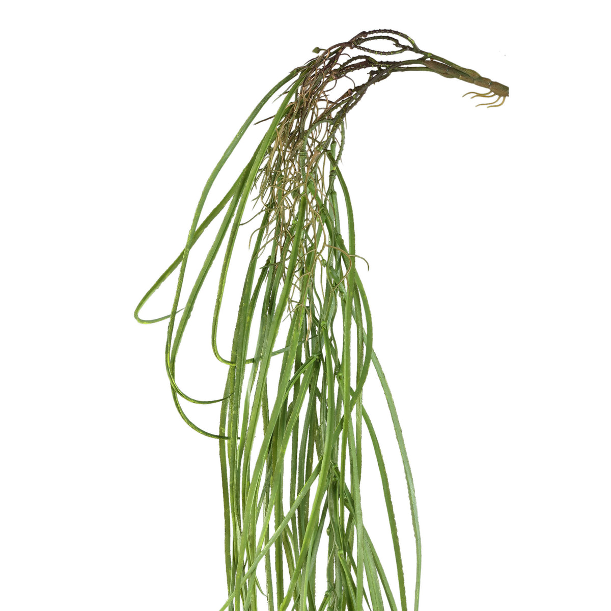 Leafy plant – Green Hanging Grass made of Metal & Plastic | PTMD