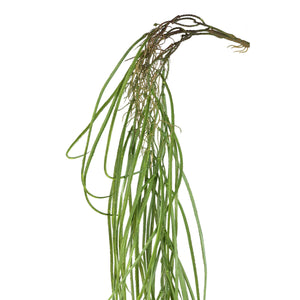 Leafy plant – Green Hanging Grass made of Metal & Plastic | PTMD