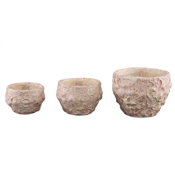 Blumentopf - Runder Zement, Raue Oberfläche, Hellrosa, Niedrig, L – Romas | PTMD