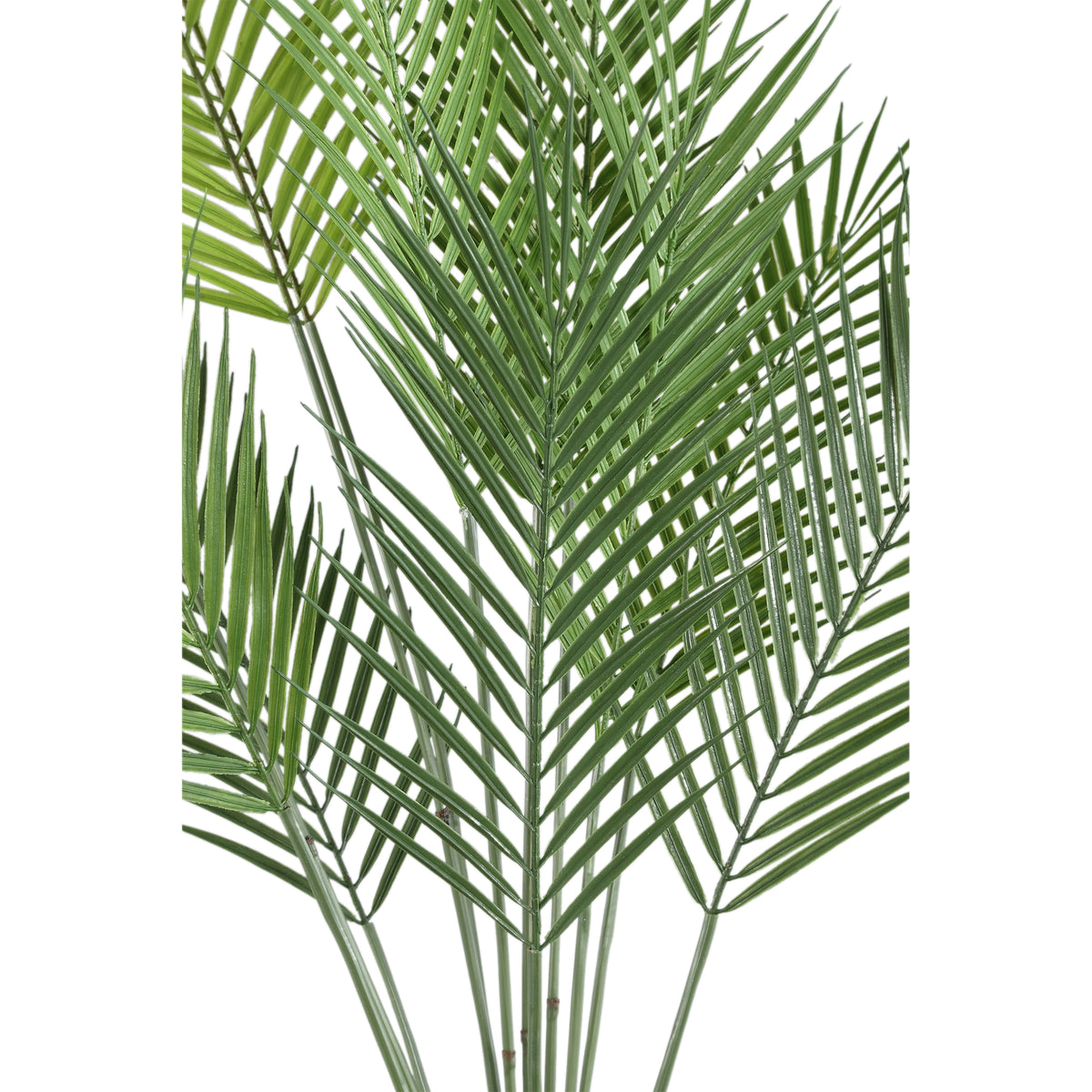 Artificial Plant - Dark Green Palm Leaf Bush, Plastic, Iron Metal, S | PTMD
