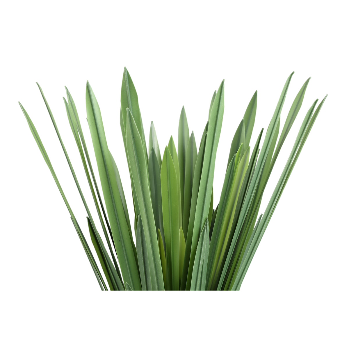 Leafy plant – Green Dracaena Grass Pick made of polyester | PTMD