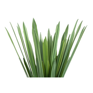 Leafy plant – Green Dracaena Grass Pick made of polyester | PTMD