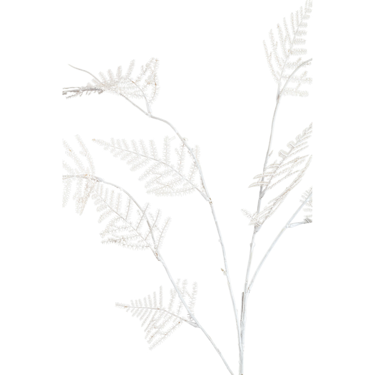 Kunstpflanze - Creme Asparagus Farn Spray, Kunststoff, Eisenmetall | PTMD
