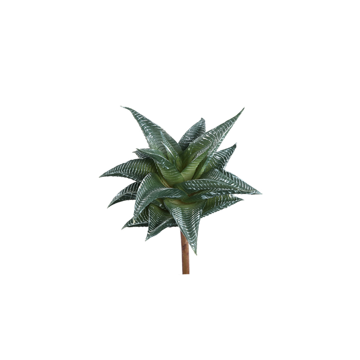 Kunstpflanze - Grüne Agave Pick mit Linien, Metall, Kunststoff | PTMD