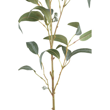 Blätterpflanze – Grüner Eukalyptus-Spray mit Samen Lang aus Polyestergewebe | PTMD