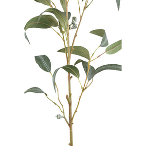 Blätterpflanze – Grüner Eukalyptus-Spray mit Samen Lang aus Polyestergewebe | PTMD