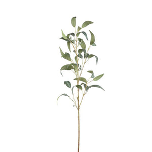 Blätterpflanze – Grüner Eukalyptus-Spray mit Samen Lang aus Polyestergewebe | PTMD