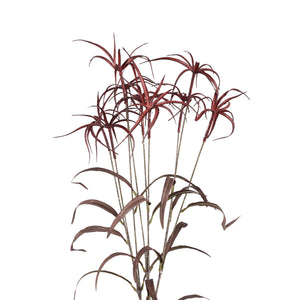 Bamboo Leaves - Burgundy Umbrella Bamboo Spray made of plastic | PTMD