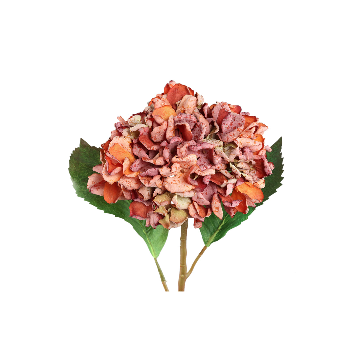 Hortensienblume - Rostfarbene Hortensienstängel, Polyestergewebe, L | PTMD
