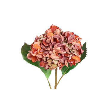 Hortensienblume - Rostfarbene Hortensienstängel, Polyestergewebe, L | PTMD