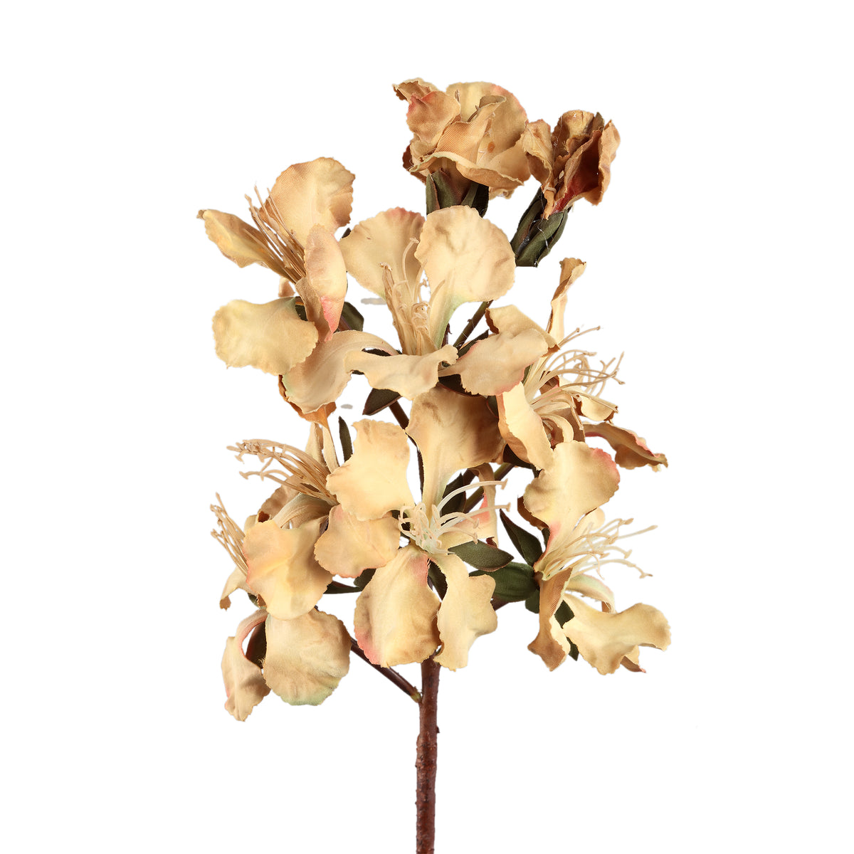 Lily flower - Light brown Peruvian lily stem, fabric, M | PTMD