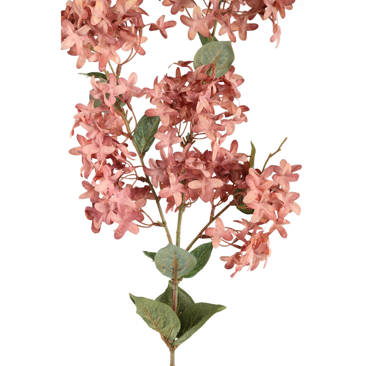 Garden Flower - Peach Jasmine Spray, Fabric & Plastic, L | PTMD