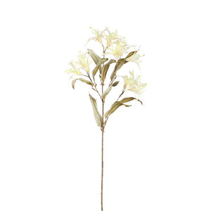 Garden Flower – Bordeaux-colored Bauhinia Spray, Fabric Material, Elegant Design, L | PTMD