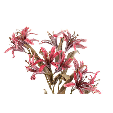Gartenblume – Bordeaux Bauhinia Spray, Stoffmaterial, Elegantes Design, L | PTMD