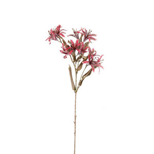 Garden Flower – Bordeaux Bauhinia Spray, Fabric Material, Elegant Design, L | PTMD