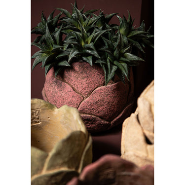 Blumentopf - Zement, Blumenform, Strukturierte Oberfläche, Rosa Farbe, S – Flowi | PTMD