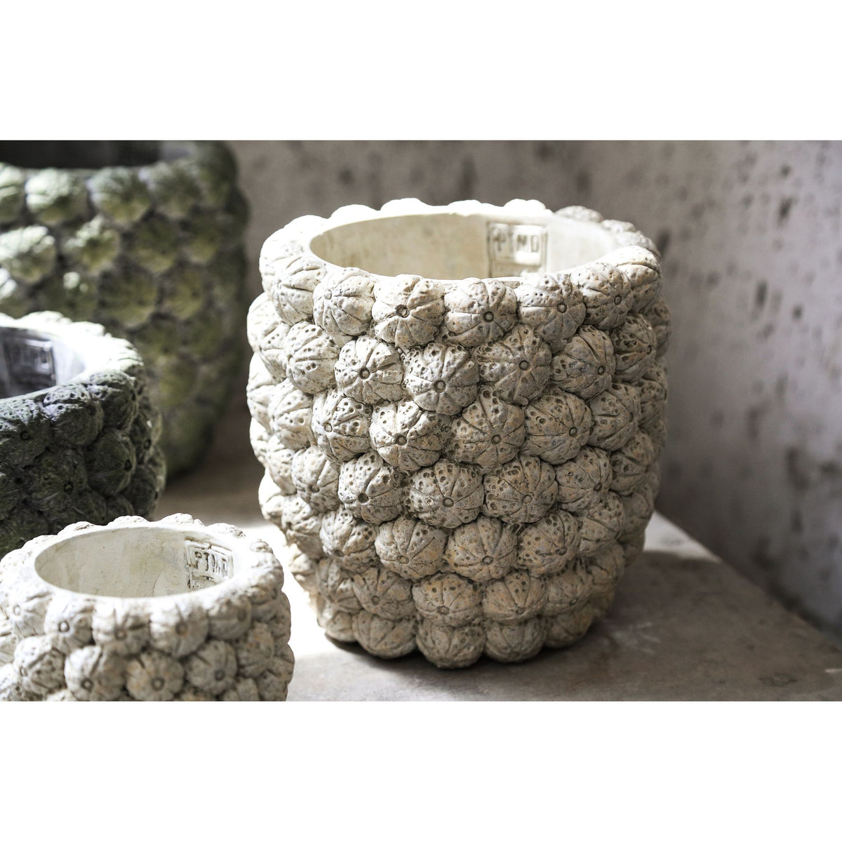 Blumentopf – Runde Form, Zement Material, Frucht Muster, Creme Oberfläche, S – Katey | PTMD