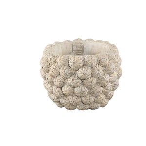 Blumentopf – Runde Form, Zement Material, Frucht Muster, Creme Oberfläche, M – Katey | PTMD