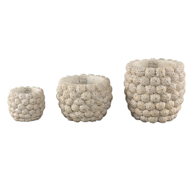Blumentopf – Runde Form, Zement Material, Frucht Muster, Creme Oberfläche, L – Katey | PTMD