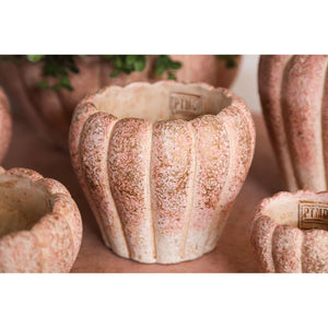 Flower Pot - Round Cement, Ribbed Surface, Pink, XL – Chantile | PTMD