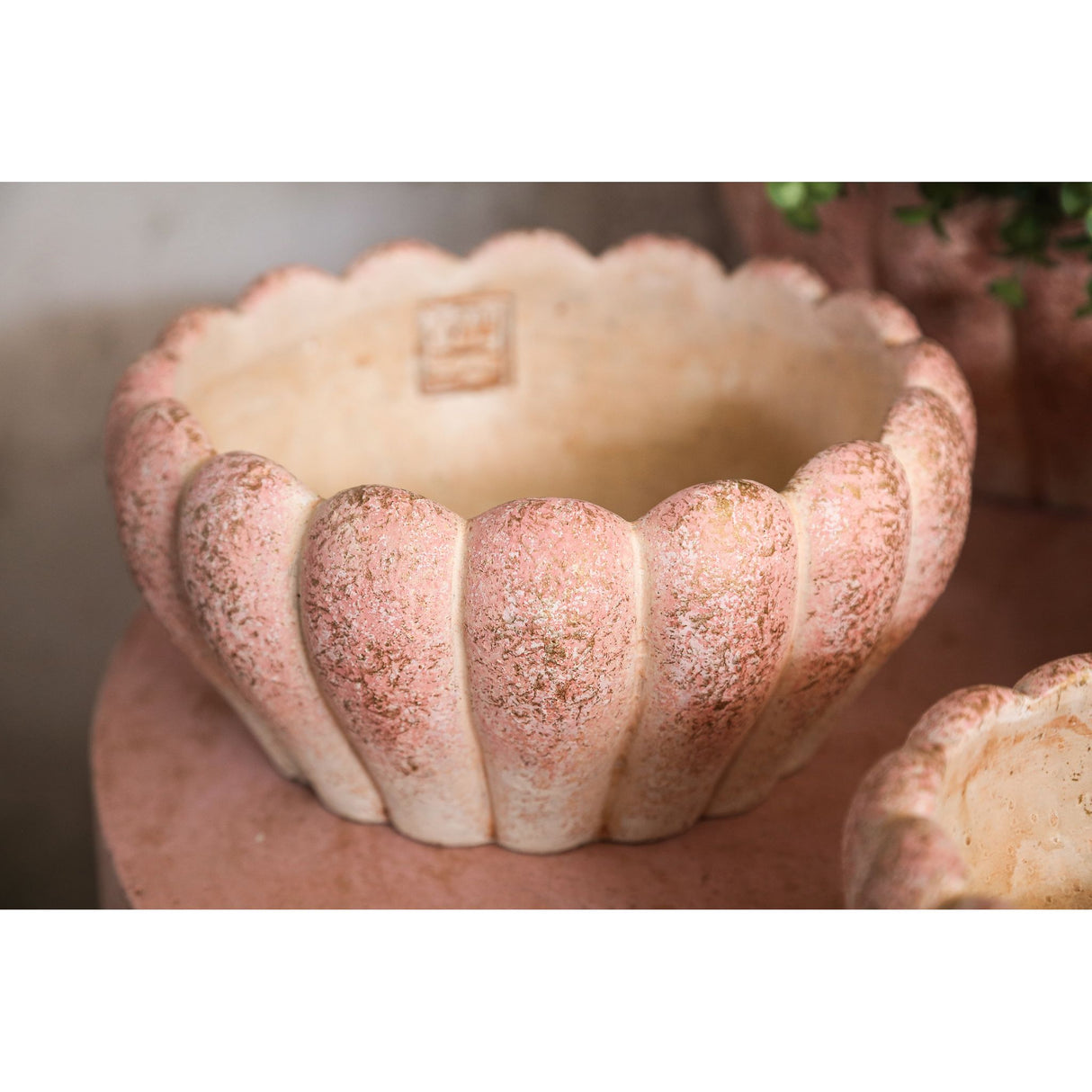 Plant Pot - Round Cement, Ribbed Surface, Pink, Low, L – Chantile | PTMD