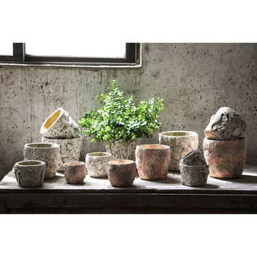 Flower Pot - Round Cement, Shell Pattern, Light Blue, M – Allisha | PTMD