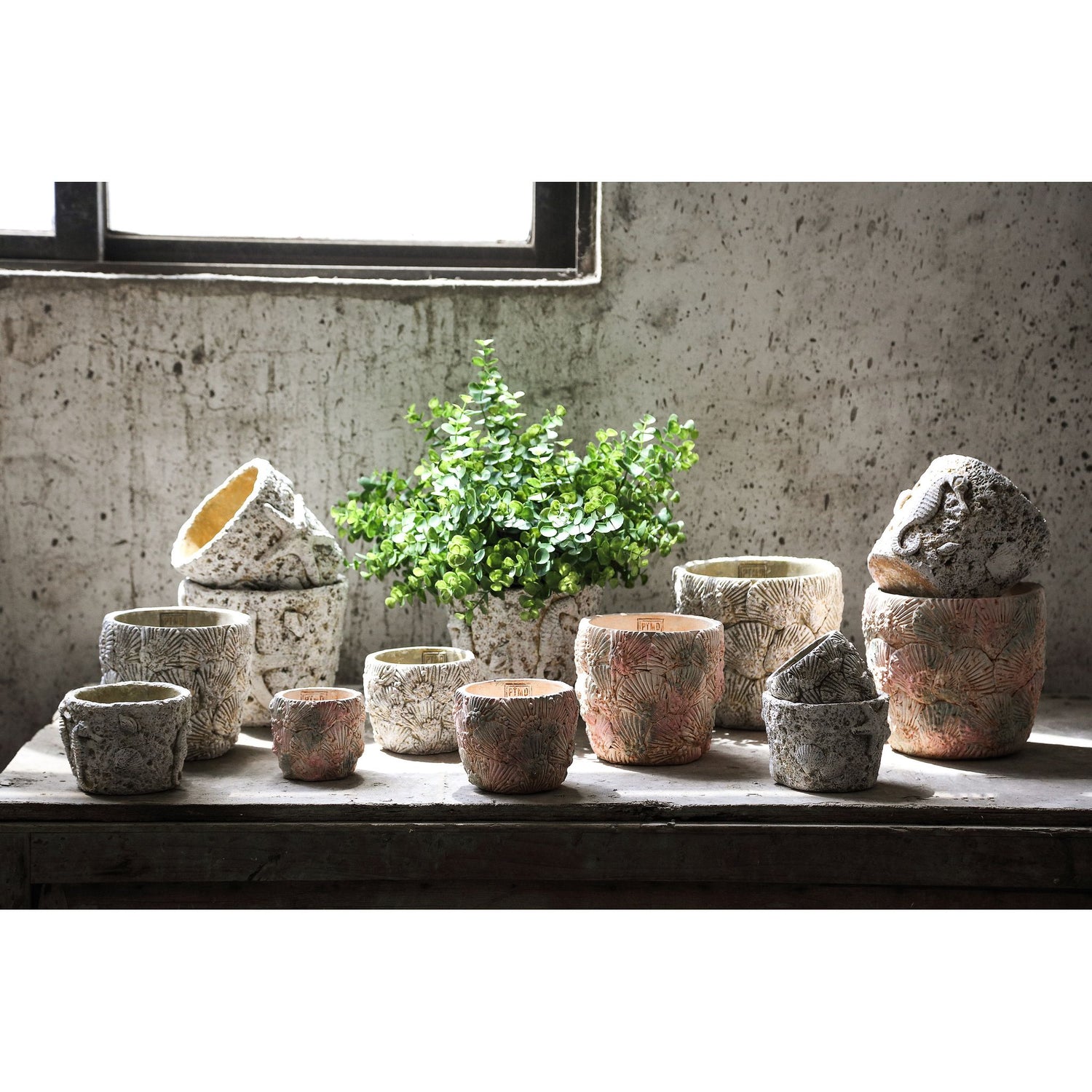 Flowerpot - Round Cement, Shell Pattern, Light Blue, L – Allisha | PTMD