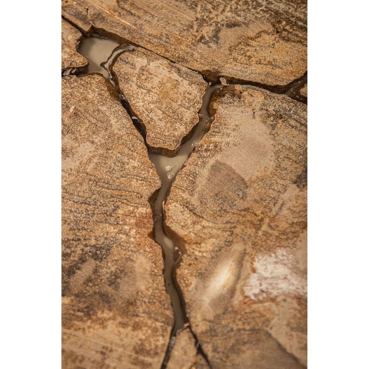 Couchtisch – Versteinertes Holz Optik, Fiberglas, Organische Form, Natur, L – Taly | PTMD