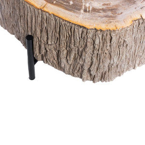 Couchtisch – Versteinertes Holz Optik, Fiberglas, Organische Form, Natur, L – Taly | PTMD