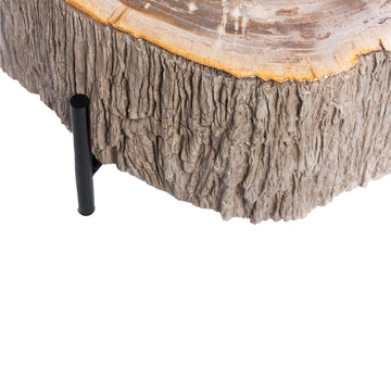 Couchtisch – Versteinertes Holz Optik, Fiberglas, Organische Form, Natur, L – Taly | PTMD