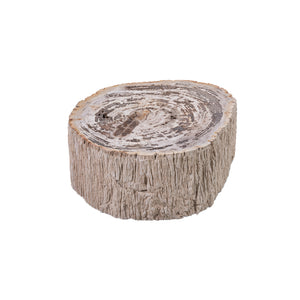 Couchtisch – Versteinertes Holz Optik, Fiberglas, Organische Form, Natur, S – Taly | PTMD