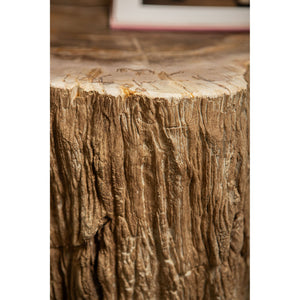 Couchtisch – Versteinertes Holz Optik, Fiberglas, Organische Form, Natur, S – Taly | PTMD