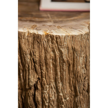 Couchtisch – Versteinertes Holz Optik, Fiberglas, Organische Form, Natur, S – Taly | PTMD