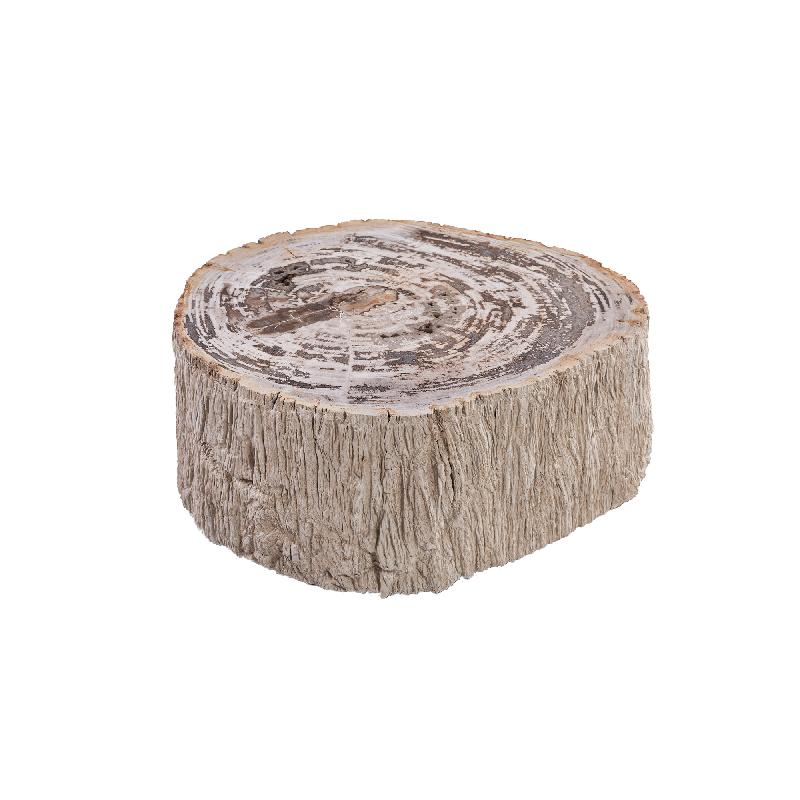 Couchtisch – Versteinertes Holz Optik, Fiberglas, Organische Form, Natur, S – Taly | PTMD