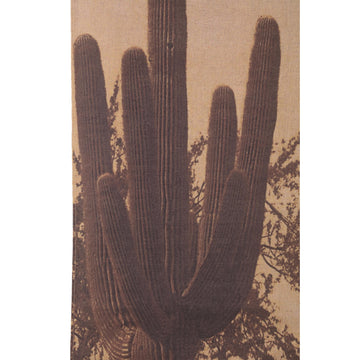Linen Canvas Wall Art with Jute Frame, Cactus Motif and Champagne Finish – Nimrod | PTMD