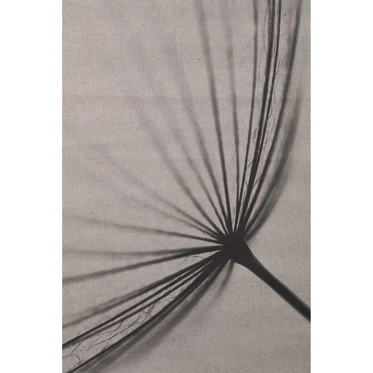 Wandbild – Löwenzahn Design, Rechteckige Form, Leinen Material, Grau – Nimrod | PTMD