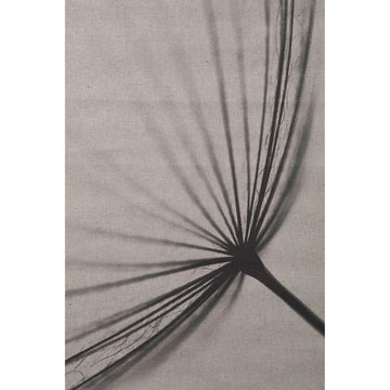 Linen Canvas Wall Art with Jute Frame, Dandelion Motif and Grey Finish, S – Nimrod | PTMD