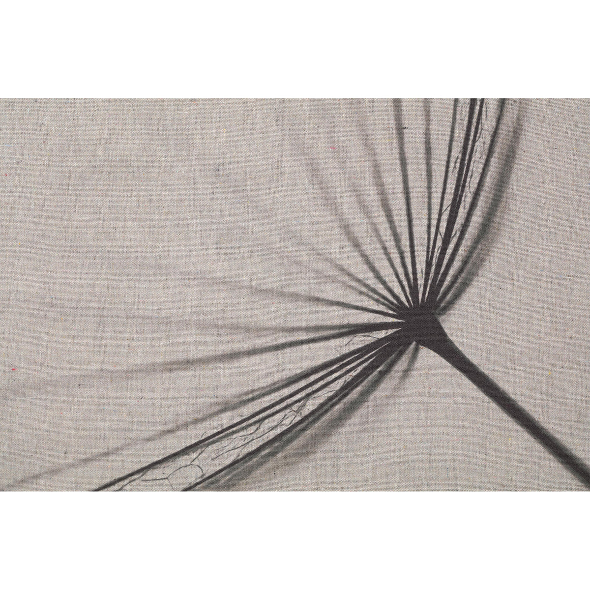 Wandbild – Löwenzahn Design, Rechteckige Form, Leinen Material, Grau, L – Nimrod | PTMD
