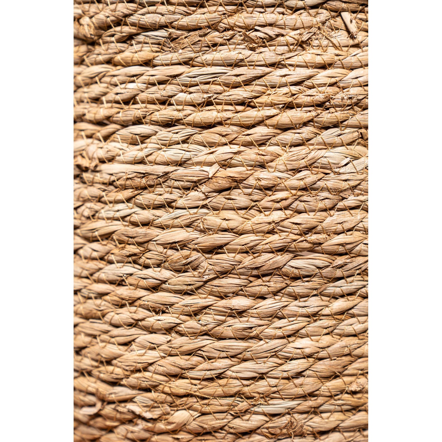 Basket – Dark Brown Rattan, With Ears, Round Shape – Leavy | PTMD