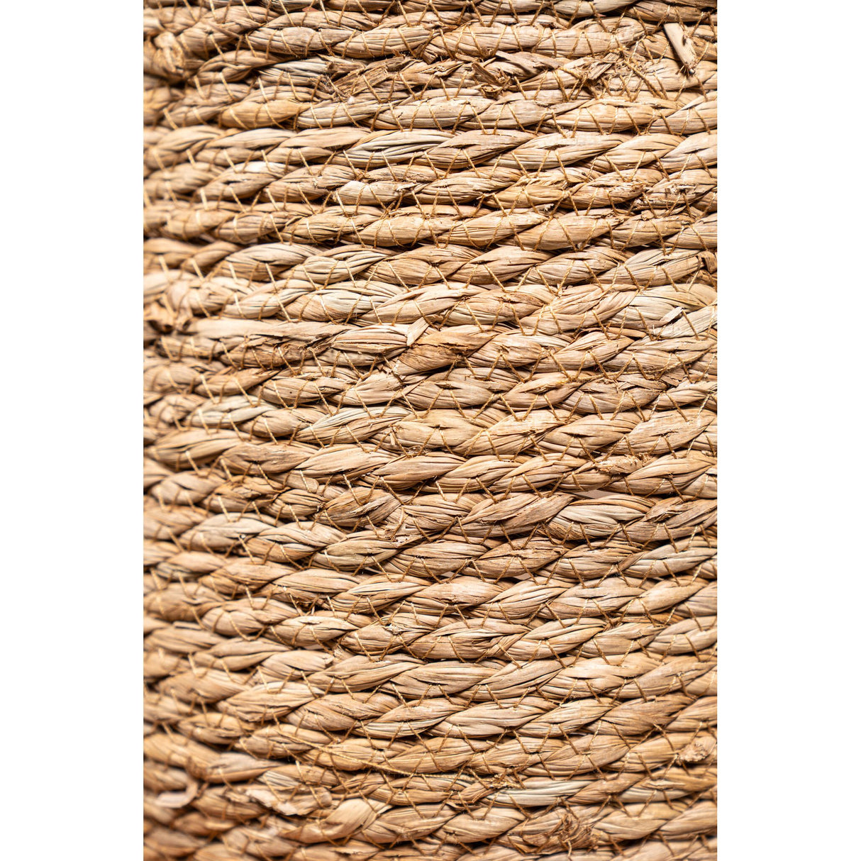 Basket – Dark Brown Rattan, With Ears, Round Shape – Leavy | PTMD