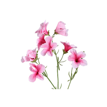 Gartenblume – Hellrosafarbener Petunienzweig aus Polyestergewebe | PTMD
