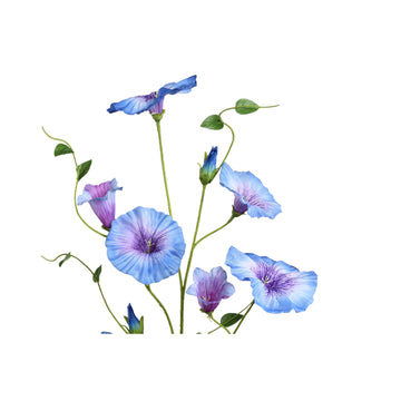 Gartenblume - Blaue Prunkwinde Spray, Polyesterstoff, Halbhändig gefertigt | PTMD