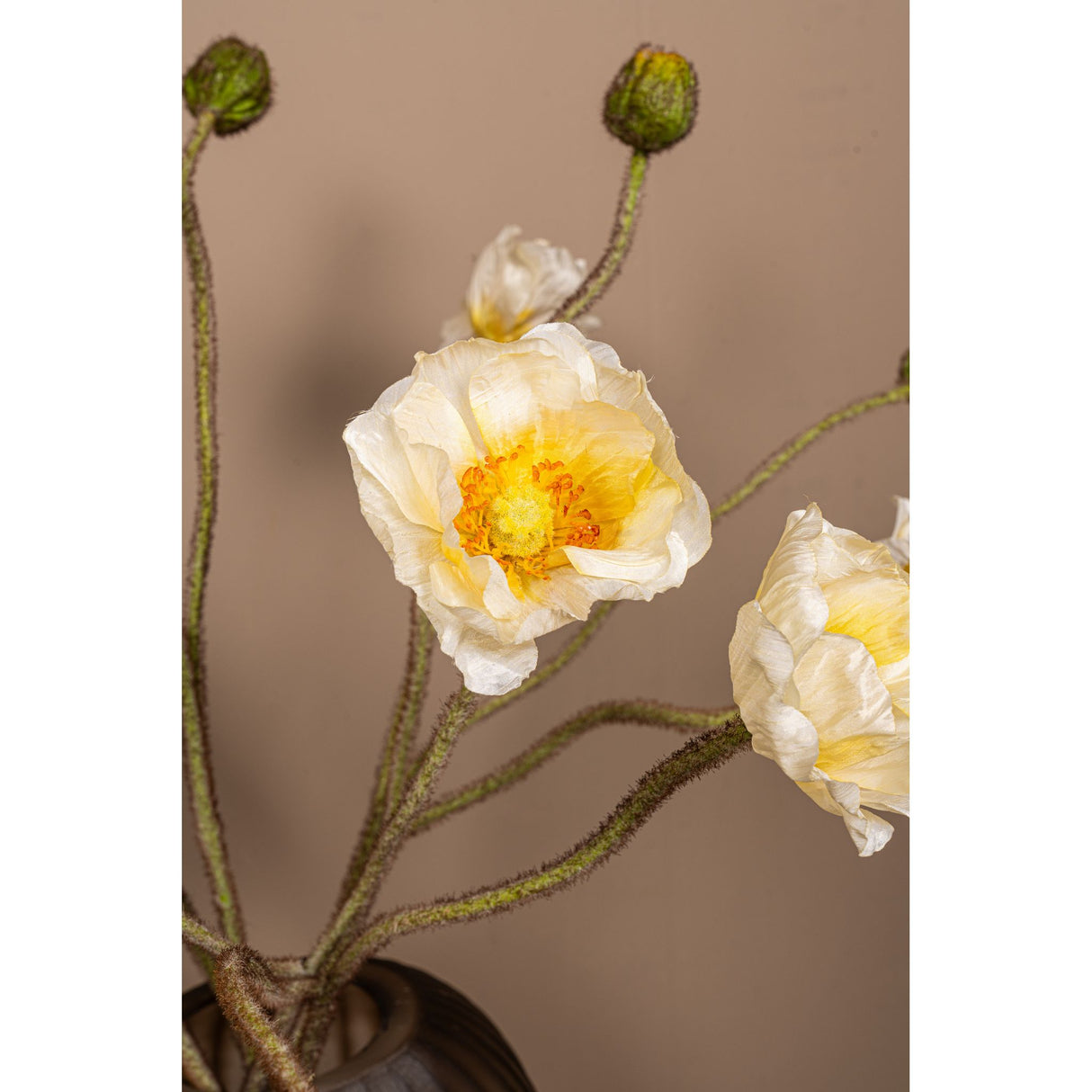 Mohnblume – Weißer Mohnzweig mit Knospe aus Polyestergewebe | PTMD