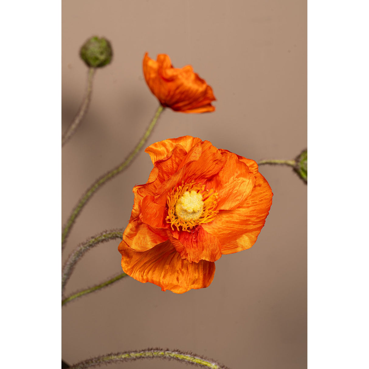 Mohnblume – Oranger Mohnzweig mit Knospe aus Polyestergewebe | PTMD
