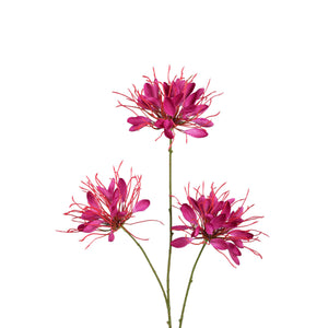 Gartenblume - Burgunderrote Spinnenblume Spray, Polyesterstoff, Halbhändig gefertigt | PTMD